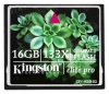 Kingston CF/16GB-S2 Technische Daten, Kingston CF/16GB-S2 Daten, Kingston CF/16GB-S2 Funktionen, Kingston CF/16GB-S2 Bewertung, Kingston CF/16GB-S2 kaufen, Kingston CF/16GB-S2 Preis, Kingston CF/16GB-S2 Speicherkarten