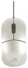 SPEEDLINK Snappy Mouse SL-6142-PWT Pearl White USB Technische Daten, SPEEDLINK Snappy Mouse SL-6142-PWT Pearl White USB Daten, SPEEDLINK Snappy Mouse SL-6142-PWT Pearl White USB Funktionen, SPEEDLINK Snappy Mouse SL-6142-PWT Pearl White USB Bewertung, SPEEDLINK Snappy Mouse SL-6142-PWT Pearl White USB kaufen, SPEEDLINK Snappy Mouse SL-6142-PWT Pearl White USB Preis, SPEEDLINK Snappy Mouse SL-6142-PWT Pearl White USB Tastatur-Maus-Sets