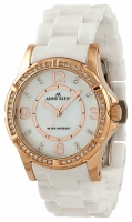 Anne Klein 9588RGWT Technische Daten, Anne Klein 9588RGWT Daten, Anne Klein 9588RGWT Funktionen, Anne Klein 9588RGWT Bewertung, Anne Klein 9588RGWT kaufen, Anne Klein 9588RGWT Preis, Anne Klein 9588RGWT Armbanduhren