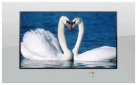 AquaView 17 Smart TV Technische Daten, AquaView 17 Smart TV Daten, AquaView 17 Smart TV Funktionen, AquaView 17 Smart TV Bewertung, AquaView 17 Smart TV kaufen, AquaView 17 Smart TV Preis, AquaView 17 Smart TV Fernseher