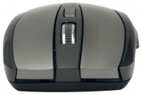 Arctic Cooling M361 Portable Wireless Mouse Black USB Technische Daten, Arctic Cooling M361 Portable Wireless Mouse Black USB Daten, Arctic Cooling M361 Portable Wireless Mouse Black USB Funktionen, Arctic Cooling M361 Portable Wireless Mouse Black USB Bewertung, Arctic Cooling M361 Portable Wireless Mouse Black USB kaufen, Arctic Cooling M361 Portable Wireless Mouse Black USB Preis, Arctic Cooling M361 Portable Wireless Mouse Black USB Tastatur-Maus-Sets