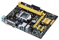 ASUS H81M-D PLUS foto, ASUS H81M-D PLUS fotos, ASUS H81M-D PLUS Bilder, ASUS H81M-D PLUS Bild