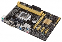 ASUS H81M-PLUS Technische Daten, ASUS H81M-PLUS Daten, ASUS H81M-PLUS Funktionen, ASUS H81M-PLUS Bewertung, ASUS H81M-PLUS kaufen, ASUS H81M-PLUS Preis, ASUS H81M-PLUS Hauptplatine