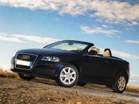 Audi A3 Cabriolet (8P/8PA) 1.2 TFSI MT (105 HP) foto, Audi A3 Cabriolet (8P/8PA) 1.2 TFSI MT (105 HP) fotos, Audi A3 Cabriolet (8P/8PA) 1.2 TFSI MT (105 HP) Bilder, Audi A3 Cabriolet (8P/8PA) 1.2 TFSI MT (105 HP) Bild