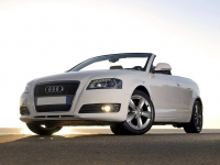 Audi A3 Cabriolet (8P/8PA) 1.2 TFSI MT (105 HP) foto, Audi A3 Cabriolet (8P/8PA) 1.2 TFSI MT (105 HP) fotos, Audi A3 Cabriolet (8P/8PA) 1.2 TFSI MT (105 HP) Bilder, Audi A3 Cabriolet (8P/8PA) 1.2 TFSI MT (105 HP) Bild