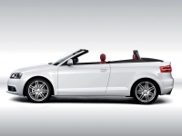 Audi A3 Cabriolet (8P/8PA) 1.2 TFSI MT (105 HP) foto, Audi A3 Cabriolet (8P/8PA) 1.2 TFSI MT (105 HP) fotos, Audi A3 Cabriolet (8P/8PA) 1.2 TFSI MT (105 HP) Bilder, Audi A3 Cabriolet (8P/8PA) 1.2 TFSI MT (105 HP) Bild