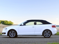 Audi A3 Cabriolet (8P/8PA) 1.6 TDI MT (105 HP) foto, Audi A3 Cabriolet (8P/8PA) 1.6 TDI MT (105 HP) fotos, Audi A3 Cabriolet (8P/8PA) 1.6 TDI MT (105 HP) Bilder, Audi A3 Cabriolet (8P/8PA) 1.6 TDI MT (105 HP) Bild