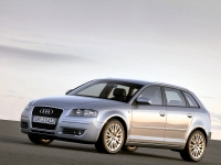 Audi A3 Sportback hatchback 5-door. (8P/8PA) 1.4 TFSI S-tronic (125 HP, '08) foto, Audi A3 Sportback hatchback 5-door. (8P/8PA) 1.4 TFSI S-tronic (125 HP, '08) fotos, Audi A3 Sportback hatchback 5-door. (8P/8PA) 1.4 TFSI S-tronic (125 HP, '08) Bilder, Audi A3 Sportback hatchback 5-door. (8P/8PA) 1.4 TFSI S-tronic (125 HP, '08) Bild