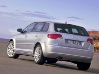 Audi A3 Sportback hatchback 5-door. (8P/8PA) 1.4 TFSI S-tronic (125 HP, '08) foto, Audi A3 Sportback hatchback 5-door. (8P/8PA) 1.4 TFSI S-tronic (125 HP, '08) fotos, Audi A3 Sportback hatchback 5-door. (8P/8PA) 1.4 TFSI S-tronic (125 HP, '08) Bilder, Audi A3 Sportback hatchback 5-door. (8P/8PA) 1.4 TFSI S-tronic (125 HP, '08) Bild