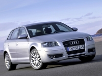 Audi A3 Sportback hatchback 5-door. (8P/8PA) 1.4 TFSI S-tronic (125 HP, '08) foto, Audi A3 Sportback hatchback 5-door. (8P/8PA) 1.4 TFSI S-tronic (125 HP, '08) fotos, Audi A3 Sportback hatchback 5-door. (8P/8PA) 1.4 TFSI S-tronic (125 HP, '08) Bilder, Audi A3 Sportback hatchback 5-door. (8P/8PA) 1.4 TFSI S-tronic (125 HP, '08) Bild