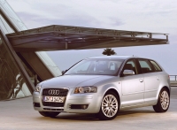 Audi A3 Sportback hatchback 5-door. (8P/8PA) 1.6 FSI MT foto, Audi A3 Sportback hatchback 5-door. (8P/8PA) 1.6 FSI MT fotos, Audi A3 Sportback hatchback 5-door. (8P/8PA) 1.6 FSI MT Bilder, Audi A3 Sportback hatchback 5-door. (8P/8PA) 1.6 FSI MT Bild