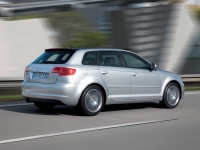 Audi A3 Sportback hatchback 5-door. (8P/8PA) 1.6 MT (102 HP) foto, Audi A3 Sportback hatchback 5-door. (8P/8PA) 1.6 MT (102 HP) fotos, Audi A3 Sportback hatchback 5-door. (8P/8PA) 1.6 MT (102 HP) Bilder, Audi A3 Sportback hatchback 5-door. (8P/8PA) 1.6 MT (102 HP) Bild