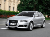 Audi A3 Sportback hatchback 5-door. (8P/8PA) 1.6 MT (102 HP) foto, Audi A3 Sportback hatchback 5-door. (8P/8PA) 1.6 MT (102 HP) fotos, Audi A3 Sportback hatchback 5-door. (8P/8PA) 1.6 MT (102 HP) Bilder, Audi A3 Sportback hatchback 5-door. (8P/8PA) 1.6 MT (102 HP) Bild