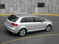 Audi A3 Sportback hatchback 5-door. (8P/8PA) 1.6 MT (102 HP) foto, Audi A3 Sportback hatchback 5-door. (8P/8PA) 1.6 MT (102 HP) fotos, Audi A3 Sportback hatchback 5-door. (8P/8PA) 1.6 MT (102 HP) Bilder, Audi A3 Sportback hatchback 5-door. (8P/8PA) 1.6 MT (102 HP) Bild