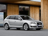 Audi A3 Sportback hatchback 5-door. (8P/8PA) 1.6 MT (102 HP) foto, Audi A3 Sportback hatchback 5-door. (8P/8PA) 1.6 MT (102 HP) fotos, Audi A3 Sportback hatchback 5-door. (8P/8PA) 1.6 MT (102 HP) Bilder, Audi A3 Sportback hatchback 5-door. (8P/8PA) 1.6 MT (102 HP) Bild