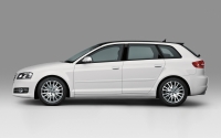 Audi A3 Sportback hatchback 5-door. (8P/8PA) 1.6 S-tronic (102 HP) foto, Audi A3 Sportback hatchback 5-door. (8P/8PA) 1.6 S-tronic (102 HP) fotos, Audi A3 Sportback hatchback 5-door. (8P/8PA) 1.6 S-tronic (102 HP) Bilder, Audi A3 Sportback hatchback 5-door. (8P/8PA) 1.6 S-tronic (102 HP) Bild