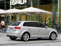 Audi A3 Sportback hatchback 5-door. (8P/8PA) 1.6 TDI 102g MT (105 HP) foto, Audi A3 Sportback hatchback 5-door. (8P/8PA) 1.6 TDI 102g MT (105 HP) fotos, Audi A3 Sportback hatchback 5-door. (8P/8PA) 1.6 TDI 102g MT (105 HP) Bilder, Audi A3 Sportback hatchback 5-door. (8P/8PA) 1.6 TDI 102g MT (105 HP) Bild