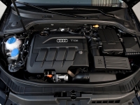 Audi A3 Sportback hatchback 5-door. (8P/8PA) 1.6 TDI S-tronic (105 HP) foto, Audi A3 Sportback hatchback 5-door. (8P/8PA) 1.6 TDI S-tronic (105 HP) fotos, Audi A3 Sportback hatchback 5-door. (8P/8PA) 1.6 TDI S-tronic (105 HP) Bilder, Audi A3 Sportback hatchback 5-door. (8P/8PA) 1.6 TDI S-tronic (105 HP) Bild