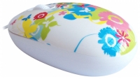 CBR Fantasy White USB foto, CBR Fantasy White USB fotos, CBR Fantasy White USB Bilder, CBR Fantasy White USB Bild