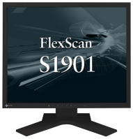 Eizo FlexScan S1901HK Technische Daten, Eizo FlexScan S1901HK Daten, Eizo FlexScan S1901HK Funktionen, Eizo FlexScan S1901HK Bewertung, Eizo FlexScan S1901HK kaufen, Eizo FlexScan S1901HK Preis, Eizo FlexScan S1901HK Monitore