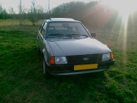 Ford Escort Hatchback 3-door (3 generation) 1.1 MT (55hp '81) foto, Ford Escort Hatchback 3-door (3 generation) 1.1 MT (55hp '81) fotos, Ford Escort Hatchback 3-door (3 generation) 1.1 MT (55hp '81) Bilder, Ford Escort Hatchback 3-door (3 generation) 1.1 MT (55hp '81) Bild