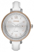 Fossil AM4362 Technische Daten, Fossil AM4362 Daten, Fossil AM4362 Funktionen, Fossil AM4362 Bewertung, Fossil AM4362 kaufen, Fossil AM4362 Preis, Fossil AM4362 Armbanduhren