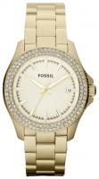 Fossil AM4453 Technische Daten, Fossil AM4453 Daten, Fossil AM4453 Funktionen, Fossil AM4453 Bewertung, Fossil AM4453 kaufen, Fossil AM4453 Preis, Fossil AM4453 Armbanduhren