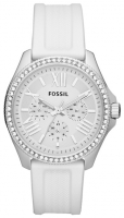 Fossil AM4487 Technische Daten, Fossil AM4487 Daten, Fossil AM4487 Funktionen, Fossil AM4487 Bewertung, Fossil AM4487 kaufen, Fossil AM4487 Preis, Fossil AM4487 Armbanduhren