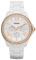 Fossil AM4492 Technische Daten, Fossil AM4492 Daten, Fossil AM4492 Funktionen, Fossil AM4492 Bewertung, Fossil AM4492 kaufen, Fossil AM4492 Preis, Fossil AM4492 Armbanduhren