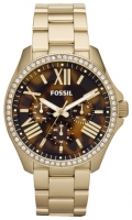 Fossil AM4498 Technische Daten, Fossil AM4498 Daten, Fossil AM4498 Funktionen, Fossil AM4498 Bewertung, Fossil AM4498 kaufen, Fossil AM4498 Preis, Fossil AM4498 Armbanduhren