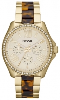 Fossil AM4499 Technische Daten, Fossil AM4499 Daten, Fossil AM4499 Funktionen, Fossil AM4499 Bewertung, Fossil AM4499 kaufen, Fossil AM4499 Preis, Fossil AM4499 Armbanduhren