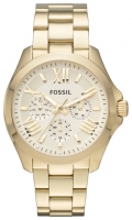 Fossil AM4510 Technische Daten, Fossil AM4510 Daten, Fossil AM4510 Funktionen, Fossil AM4510 Bewertung, Fossil AM4510 kaufen, Fossil AM4510 Preis, Fossil AM4510 Armbanduhren