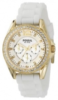 Fossil ES2348 Technische Daten, Fossil ES2348 Daten, Fossil ES2348 Funktionen, Fossil ES2348 Bewertung, Fossil ES2348 kaufen, Fossil ES2348 Preis, Fossil ES2348 Armbanduhren