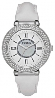 Fossil ES2766 Technische Daten, Fossil ES2766 Daten, Fossil ES2766 Funktionen, Fossil ES2766 Bewertung, Fossil ES2766 kaufen, Fossil ES2766 Preis, Fossil ES2766 Armbanduhren