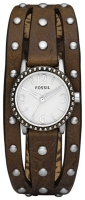 Fossil JR1177 Technische Daten, Fossil JR1177 Daten, Fossil JR1177 Funktionen, Fossil JR1177 Bewertung, Fossil JR1177 kaufen, Fossil JR1177 Preis, Fossil JR1177 Armbanduhren