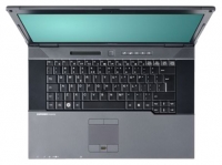 Fujitsu ESPRIMO Mobile D9510 (Core 2 Duo T6570 2100 Mhz/15.4