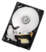 HGST HDS5C1050CLA382 Technische Daten, HGST HDS5C1050CLA382 Daten, HGST HDS5C1050CLA382 Funktionen, HGST HDS5C1050CLA382 Bewertung, HGST HDS5C1050CLA382 kaufen, HGST HDS5C1050CLA382 Preis, HGST HDS5C1050CLA382 Festplatten und Netzlaufwerke