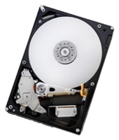 HGST HDT721010SLA360 Technische Daten, HGST HDT721010SLA360 Daten, HGST HDT721010SLA360 Funktionen, HGST HDT721010SLA360 Bewertung, HGST HDT721010SLA360 kaufen, HGST HDT721010SLA360 Preis, HGST HDT721010SLA360 Festplatten und Netzlaufwerke