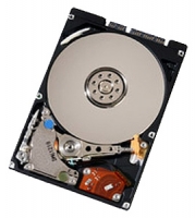 HGST HTE722016K9A300 Technische Daten, HGST HTE722016K9A300 Daten, HGST HTE722016K9A300 Funktionen, HGST HTE722016K9A300 Bewertung, HGST HTE722016K9A300 kaufen, HGST HTE722016K9A300 Preis, HGST HTE722016K9A300 Festplatten und Netzlaufwerke