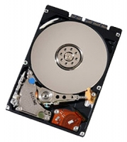 HGST HTS722010K9A300 Technische Daten, HGST HTS722010K9A300 Daten, HGST HTS722010K9A300 Funktionen, HGST HTS722010K9A300 Bewertung, HGST HTS722010K9A300 kaufen, HGST HTS722010K9A300 Preis, HGST HTS722010K9A300 Festplatten und Netzlaufwerke