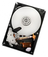 HGST HUA722010CLA330 Technische Daten, HGST HUA722010CLA330 Daten, HGST HUA722010CLA330 Funktionen, HGST HUA722010CLA330 Bewertung, HGST HUA722010CLA330 kaufen, HGST HUA722010CLA330 Preis, HGST HUA722010CLA330 Festplatten und Netzlaufwerke