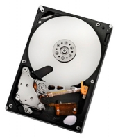 HGST HUA722020ALA331 Technische Daten, HGST HUA722020ALA331 Daten, HGST HUA722020ALA331 Funktionen, HGST HUA722020ALA331 Bewertung, HGST HUA722020ALA331 kaufen, HGST HUA722020ALA331 Preis, HGST HUA722020ALA331 Festplatten und Netzlaufwerke