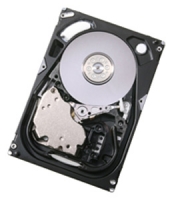 HGST HUS154545VLS300 Technische Daten, HGST HUS154545VLS300 Daten, HGST HUS154545VLS300 Funktionen, HGST HUS154545VLS300 Bewertung, HGST HUS154545VLS300 kaufen, HGST HUS154545VLS300 Preis, HGST HUS154545VLS300 Festplatten und Netzlaufwerke