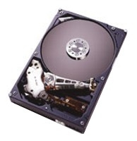 HGST IC35L120AVV207 Technische Daten, HGST IC35L120AVV207 Daten, HGST IC35L120AVV207 Funktionen, HGST IC35L120AVV207 Bewertung, HGST IC35L120AVV207 kaufen, HGST IC35L120AVV207 Preis, HGST IC35L120AVV207 Festplatten und Netzlaufwerke