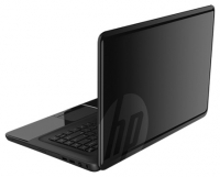 HP 2000-2d01SR (E1 1500 1480 Mhz/15.6"/1366x768/4096Mb/500Gb/DVDRW/wifi/Bluetooth/Win 8 64) foto, HP 2000-2d01SR (E1 1500 1480 Mhz/15.6"/1366x768/4096Mb/500Gb/DVDRW/wifi/Bluetooth/Win 8 64) fotos, HP 2000-2d01SR (E1 1500 1480 Mhz/15.6"/1366x768/4096Mb/500Gb/DVDRW/wifi/Bluetooth/Win 8 64) Bilder, HP 2000-2d01SR (E1 1500 1480 Mhz/15.6"/1366x768/4096Mb/500Gb/DVDRW/wifi/Bluetooth/Win 8 64) Bild