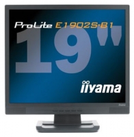 Iiyama ProLite E1902S Technische Daten, Iiyama ProLite E1902S Daten, Iiyama ProLite E1902S Funktionen, Iiyama ProLite E1902S Bewertung, Iiyama ProLite E1902S kaufen, Iiyama ProLite E1902S Preis, Iiyama ProLite E1902S Monitore