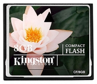 Kingston CF/8GB Technische Daten, Kingston CF/8GB Daten, Kingston CF/8GB Funktionen, Kingston CF/8GB Bewertung, Kingston CF/8GB kaufen, Kingston CF/8GB Preis, Kingston CF/8GB Speicherkarten