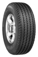 Michelin Cross Terrain SUV 225/70 R17 108S Technische Daten, Michelin Cross Terrain SUV 225/70 R17 108S Daten, Michelin Cross Terrain SUV 225/70 R17 108S Funktionen, Michelin Cross Terrain SUV 225/70 R17 108S Bewertung, Michelin Cross Terrain SUV 225/70 R17 108S kaufen, Michelin Cross Terrain SUV 225/70 R17 108S Preis, Michelin Cross Terrain SUV 225/70 R17 108S Reifen