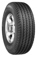 Michelin Cross Terrain SUV 245/65 R17 111S Technische Daten, Michelin Cross Terrain SUV 245/65 R17 111S Daten, Michelin Cross Terrain SUV 245/65 R17 111S Funktionen, Michelin Cross Terrain SUV 245/65 R17 111S Bewertung, Michelin Cross Terrain SUV 245/65 R17 111S kaufen, Michelin Cross Terrain SUV 245/65 R17 111S Preis, Michelin Cross Terrain SUV 245/65 R17 111S Reifen