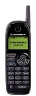 Motorola M3288 Technische Daten, Motorola M3288 Daten, Motorola M3288 Funktionen, Motorola M3288 Bewertung, Motorola M3288 kaufen, Motorola M3288 Preis, Motorola M3288 Handys